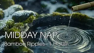 MIDDAY NAP ❄️ Winter Tsukubai Ripples &bull; 1 Hour Soft Water Drip