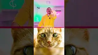 Immersive Interactive Warm-Up Pt9 😆 #shorts #trending #funny #viral