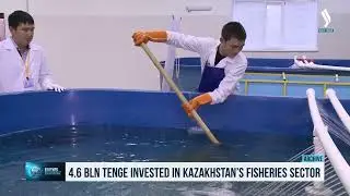 Kazakistan&rsquo;da Balik&ccedil;iliğin Geliştirilmesi I&ccedil;in 4,6 Milyar Tenge Yatirim Yapildi