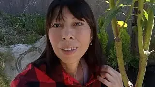 Después de varios días REGRESÉ AMIGOS, para contarles como estoy y QUE A ALGUIEN LE GUSTO LA CÁMARA.