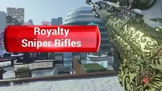Sniper Rifle Royalty Camo Showcase (CoD:AW)