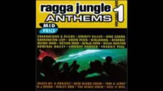 Ragga Jungle Anthems Vol 1