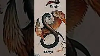 TYPES OF DRAGONS|PART-12|COATYL|REMAKE|#creature #dragon @LIKEMYTH