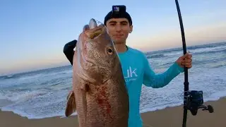 Surfcasting Cubera Snapper CATCH and EAT