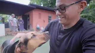 Dog  Dumping Grounds | Stray Dogs | Free-Roaming Dogs | Redland-Homestead 