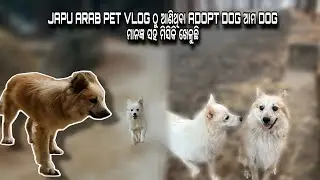 ADOPT DOG ଆମ DOG ସହିତ ଖେଳୁଛି🐶