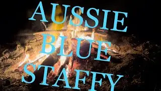 BLUE STAFFY 💙 CAMPING 🏕️ 