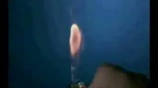 Cigarette Lighter Flame in SLOWMO