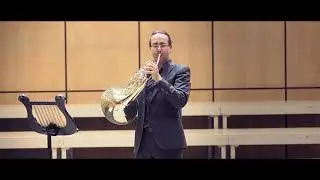 Secrets de cor    Christophe Sturzenegger   (Memorial - Garland)