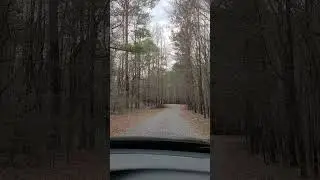 #dust #road #buddhisttemple #lovelynature #tangkinhcac #buddhism #fayetteville #georgia #phatgiao