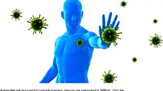 Top 5  Essential Oils to Strengthen Your Immune System