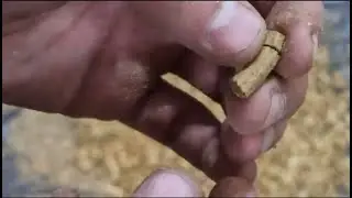 Peletizadora Ring Die L&uacute;pulo - Peletizando L&uacute;pulo Saaz e Cascade Sul - Lan&ccedil;amento Pelet