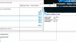 VipG*meArea Hard DDoS Attack Teamspeak3 Downed Over '