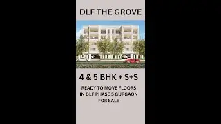 DLF The Grove 8920088135  Ready to Move Floors in dlf Phase 5  |  Independent Floors in Gurgaon