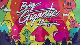 DJ Dizzlephunk - Big Gigantic/Flamingosis- feat. B True & Kenny J