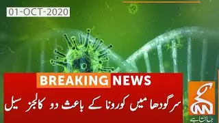 Two educational institutions closed after emergence of Covid-19 cases in Sargodha | 01 October 2020