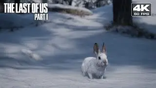 Ellie Kills A Rabbit Original Scene [4K 60FPS] &ndash; The Last of Us Part I