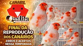 Erros e Acertos na Temporada de Reprodução