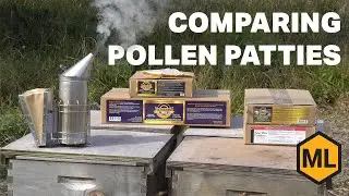 Pollen Patties Compared &ndash; Best Bee Feed Options