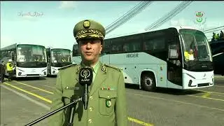 ميناء الجزائر - استيراد الحافلات | استلام أول شحنة من الحافلات المستوردة