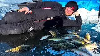 Hot Perch Bite On Small Slough!!