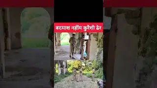Naeem Qureshi Shot Dead in Muzaffarnagar Encounter. 1 Lakh Rewarded Criminal | UP Police Action