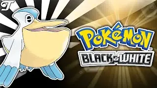 How to Catch Pelipper - ⚫ Pok&eacute;mon Black & White ⚪