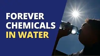 Removing PFAS &lsquo;Forever Chemicals&rsquo; in Water