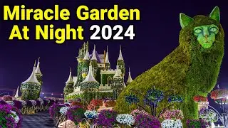Miracle Garden At Night 🇦🇪 The world&rsquo;s largest natural flower garden | Dubai