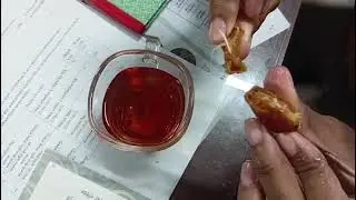 Nectar Boy ( Making date tea)
