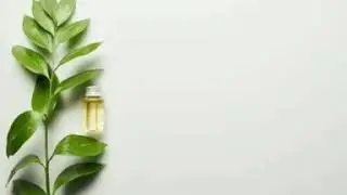 10 HERBAL MEDICINES APPROVED BY THE DOH  | JUSTINE JAY PAGAYON