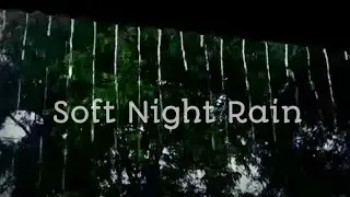 Tropical Night Rain &mdash; Deep Sleep Rain Ambience