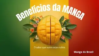 Como o Dom Aprovou a Manga Do Brasil - Manga Avi&atilde;o