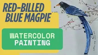 Draw a Red-Billed Blue Magpie #art #birds #watercolorpainting
