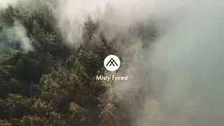 Misty Forest Aerials