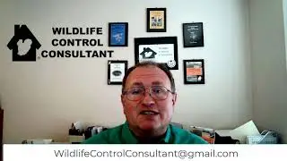 Welcome to Wildlife Control Consultant, LLC