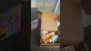 Subscription Addiction: Unboxing Barkbox May 2022