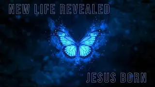New Life Revealed: Jesus Born | Message by Pastor Julie Marxhausen | New Life Church