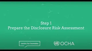 Step 1: Prepare the Disclosure Risk Assessment