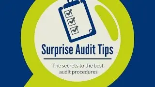 Surprise Store Audits