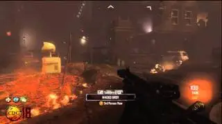 BO2 DSR 50 Iron Sights