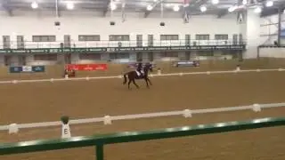 Baby midway championships 2016 Music inter 1. 71+%