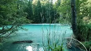 Clear Blue Slow Moving River 10 HOURS
