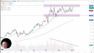Gold Analysis: Gold Tests Ceiling