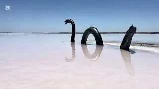 ￼ Tasmania & Eyre Peninsula (一）2025