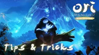 Лучший способ потратить очки способностей &mdash; Ori and the Blind Forest
