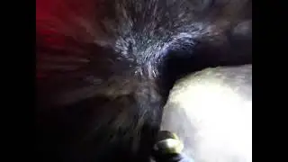 Inspecting spring pipe with gopro and torch on cleaning nozle