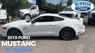 2019 Ford Mustang GT Premium Fastback | Stock Number 244028