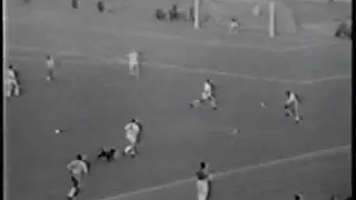 World Cup 1962 Brazil vs. England: Dog Invades Pitch