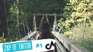 Le Zap Of TikTok n&deg;1